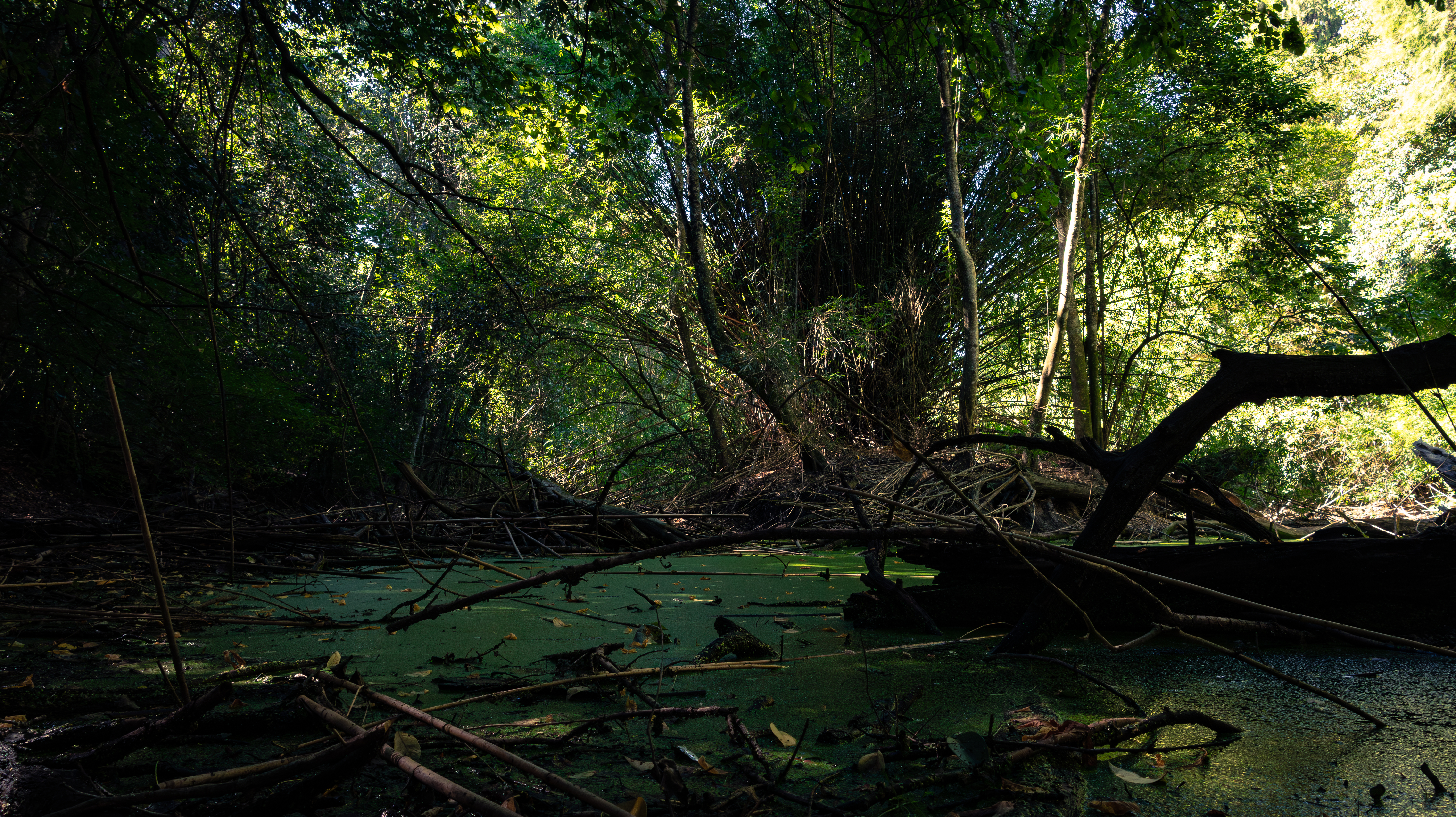 Portada Berazategui Parque Pereyra